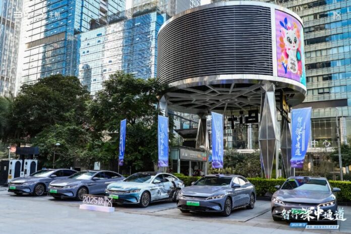 Parked BYD cars, source: CarNewsChina