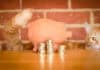 Pet insurance, cat and piggy bank, source: Shutterstock