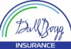 Dallbogg logo