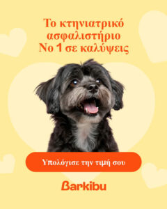 Barkibu campaign