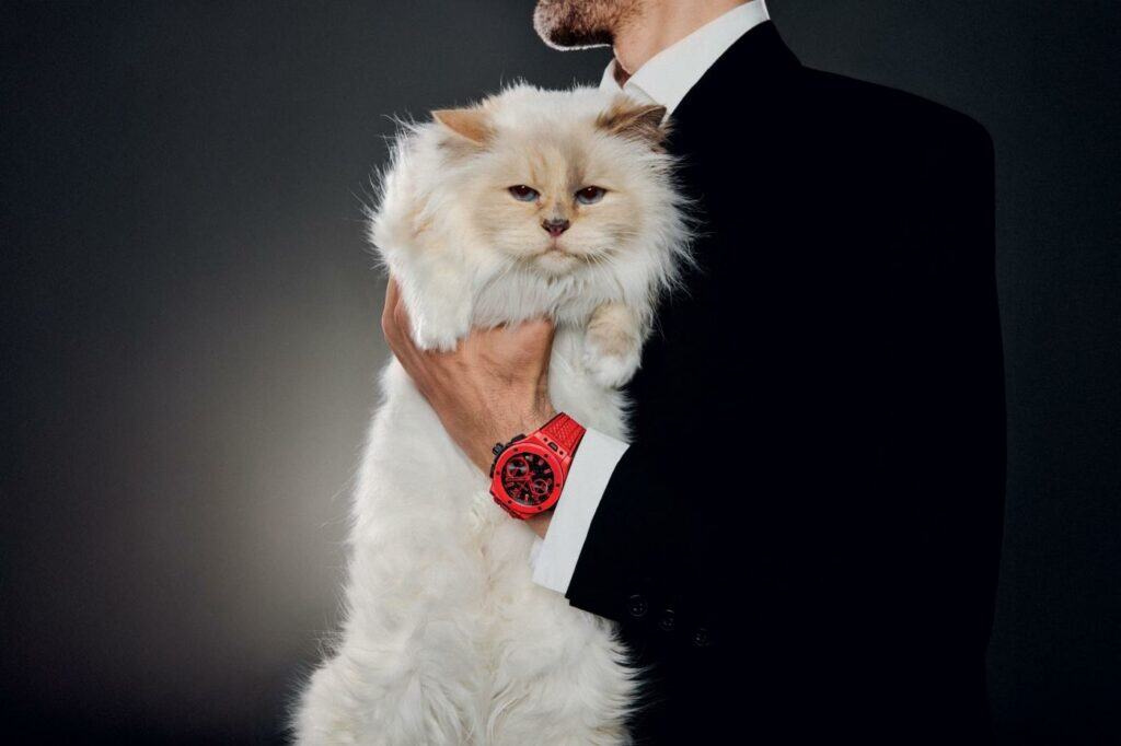 Lagerfeld cat