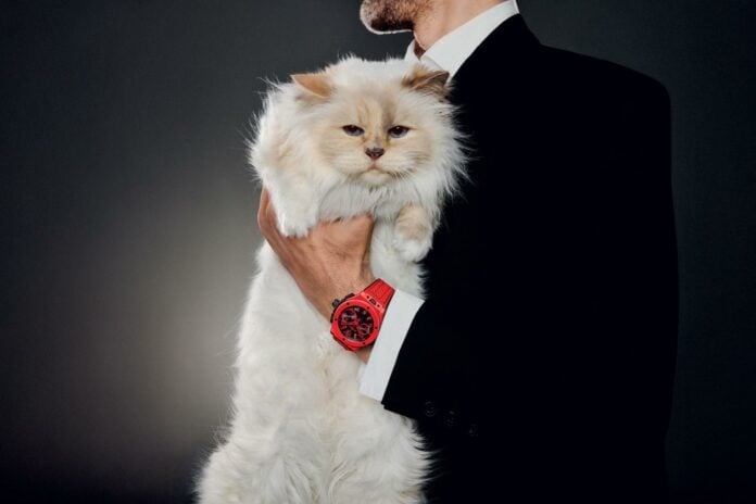 Lagerfeld cat