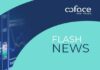 Coface Flash News