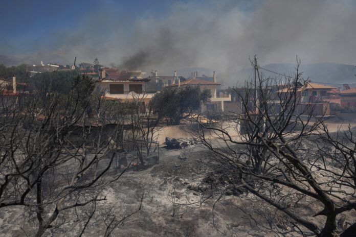 Burned houses, Thymari, source: Shutterstock