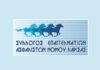 Σύλλογος Επαγγελματιών Ασφαλιστών Νομού Λάρισας, λογότυπο
