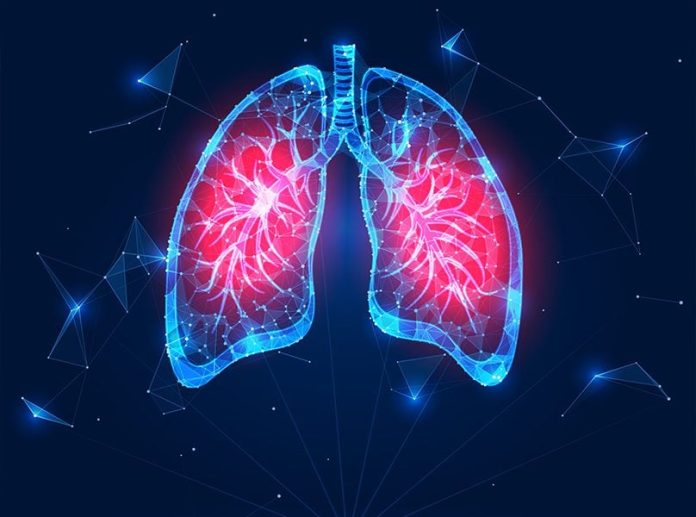 blog-samantas_b-center-top-808x600 Πνεύμονες