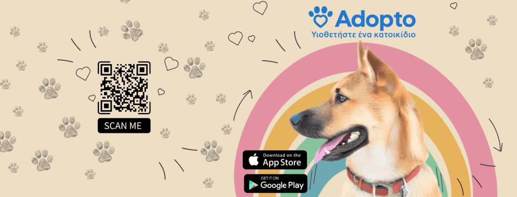 Adopto, εικαστικό πλατφόρμας