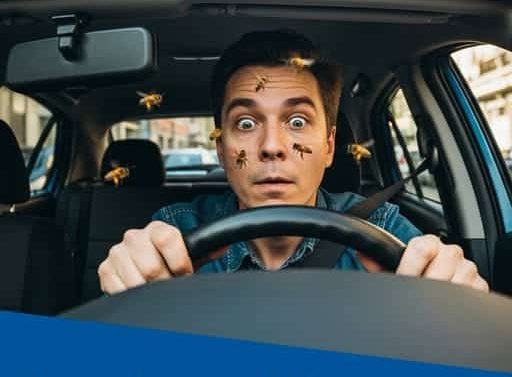 Glassdrive, εικαστικό καμπάνιας