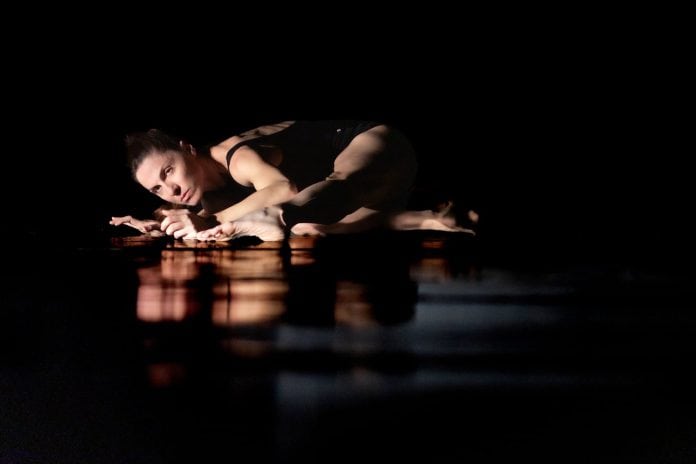 dOTcompany, στιγμιότυπο παράστασης