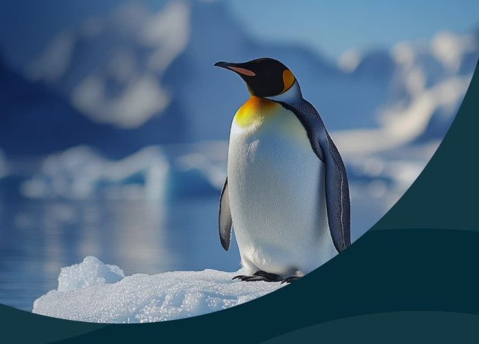 641431237_1215691690715936_7154074850181882321_n Εθνική Ασφαλιστική, εικόνα άρθρου για την κλιματική αλλαγή