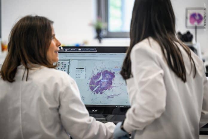 Ερευνήτριες καρκίνου