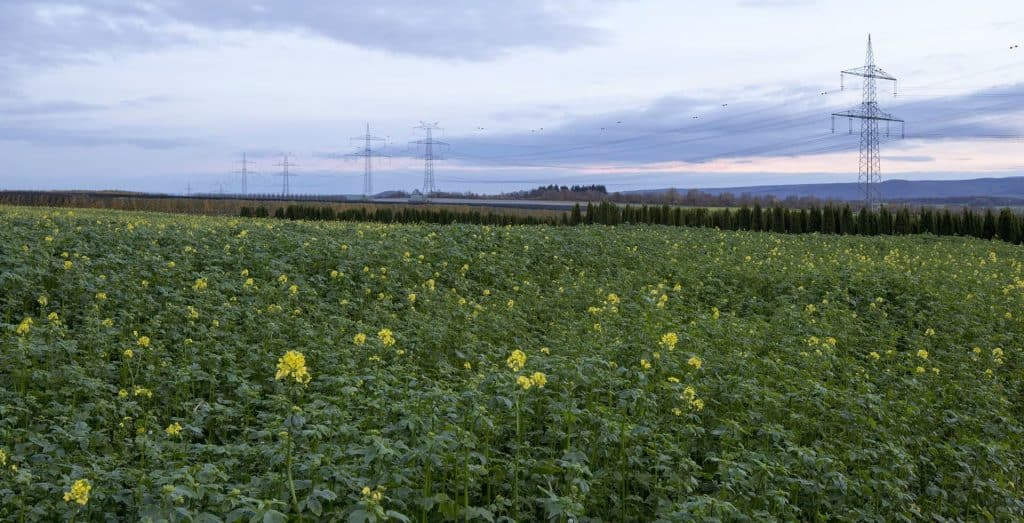 AllianzGI, εικόνα είδησης συνεργασίας με Talanx για ηλεκτρικό δίκτυο, λιβάδι με κολόνες ηλεκτρικού ρεύματος
