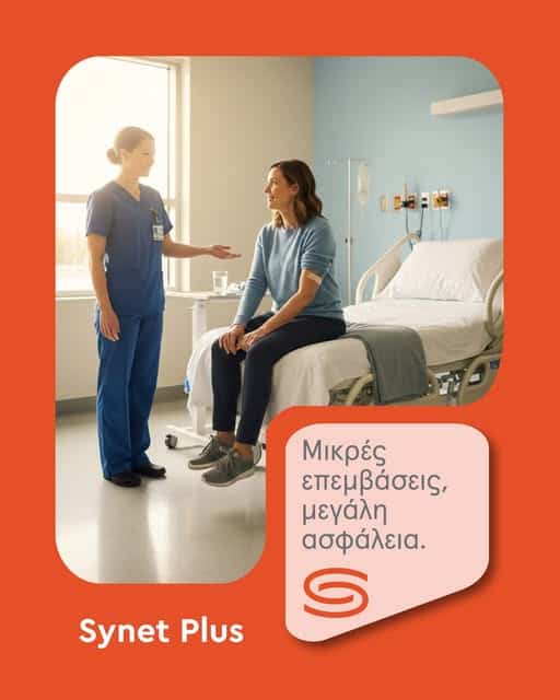 Syndea, εικαστικό προγράμματος Synet-Plus