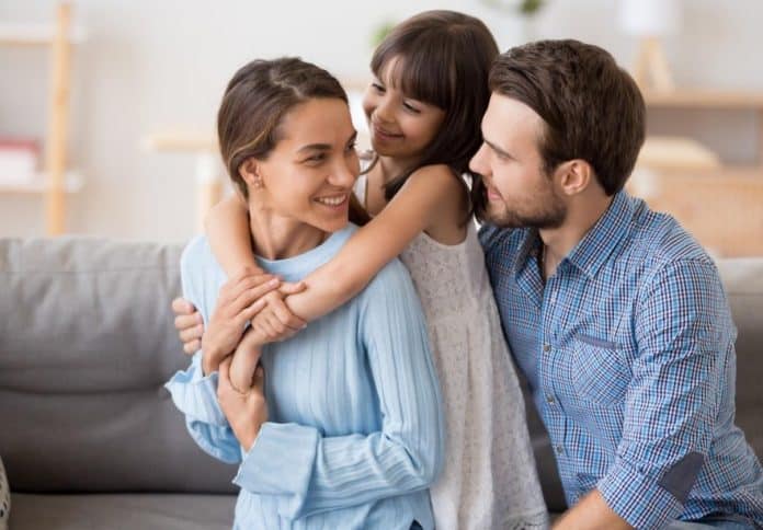 Syndea, εικόνα παρουσίασης προγράμματος Synet-Plus