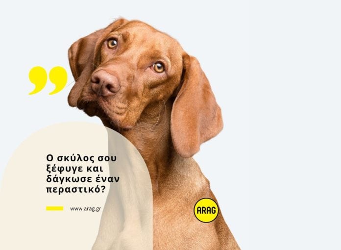 ARAG, εικαστικό με σκύλο για καθημερινά απρόβλεπτα