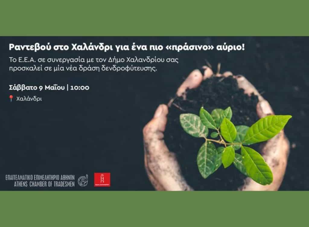 ΕΕΑ, εικαστικό για δράση δενδροφύτευσης στο Χαλάνδρι