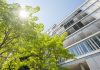 GDV building with tree and sun