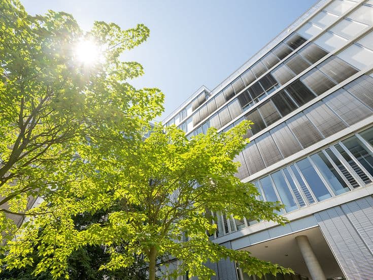 GDV building with tree and sun