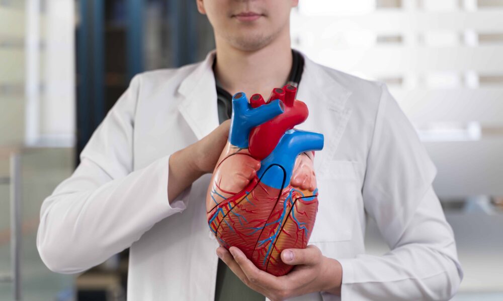 Doctor with heart model