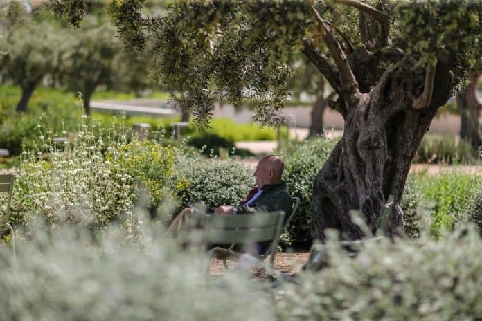 Ηλικιωμένος στο πάρκο του ΚΠΙΣΝ, πηγή: ΚΠΙΣΝ