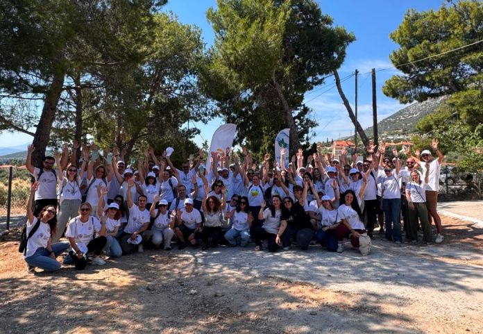 last day NN Hellas, ομαδική από την NN Volunteer Week 2026