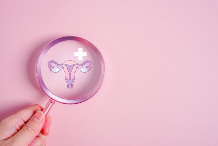 Gynaecology concept, vagina and pink magnifying glass