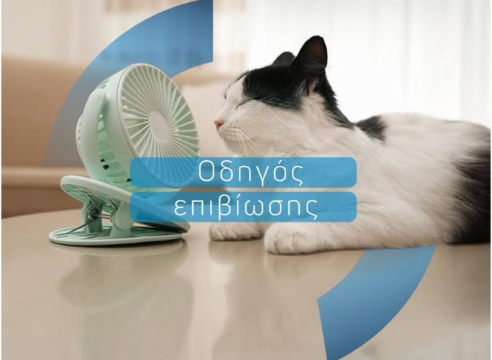 Untitled design (1) Ορίζων Ασφαλιστική, εικαστικό με γάτα για καύσωνα