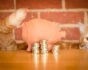 Pet insurance, cat and piggy bank, source: Shutterstock