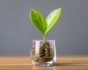 Money saving concept, source: Shutterstock