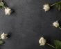 Πένθος, εικαστικό με λευκά τριαντάφυλλα σε μαύρο φόντο, πηγή: Shutterstock
