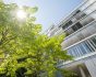 GDV building with tree and sun